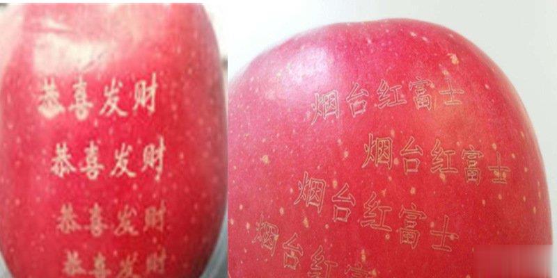 激光打标机在水果上是怎么打标的呢？